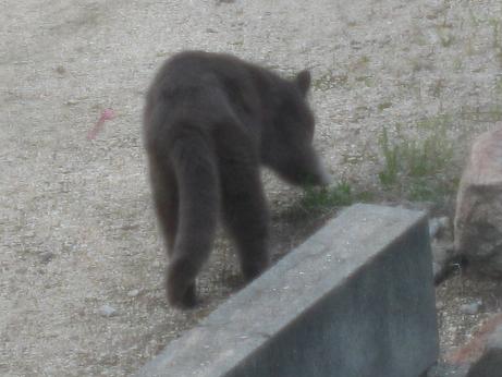 ザッザッザッ・・・