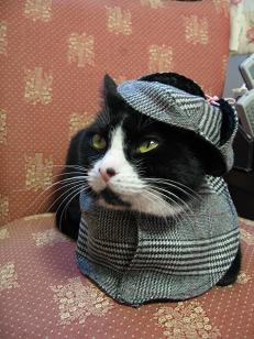 事件はにゃんもんだ～