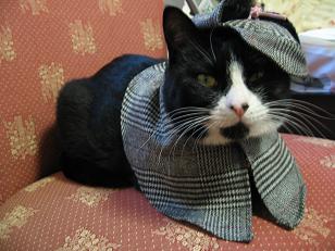 ニャトソン君～着たまえ