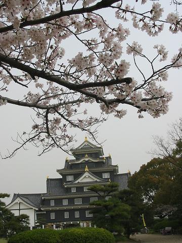 お城と桜・・・2007年