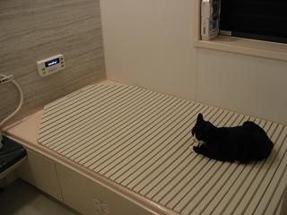 ふ~落ち着くニャン