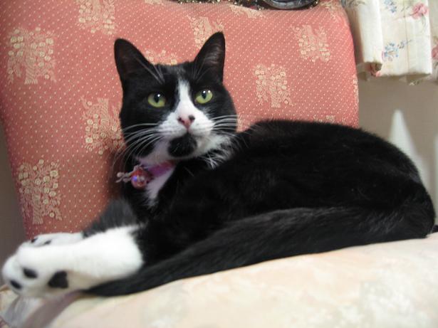 足長に見える？