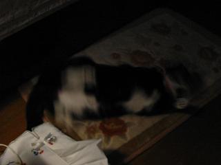 高速ゴロゴロ～