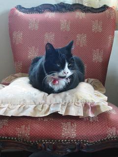 あ、ここにもお饅頭が！？