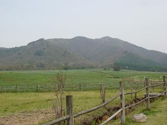 雄大な山と高原の牧場