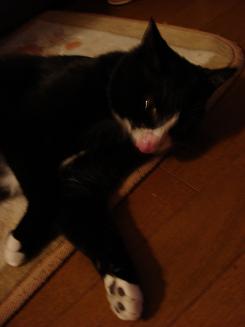 ゴロゴロ・・・