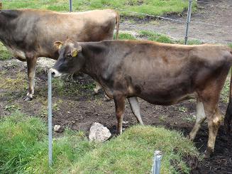 すりすりしちゃおうっかな～