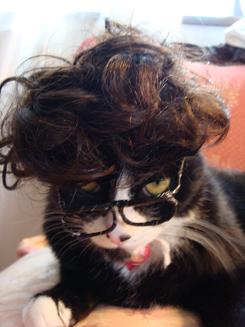 なんでやね～ん