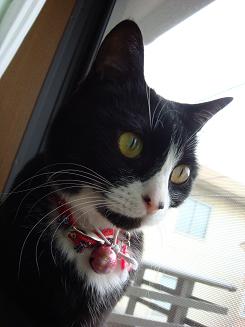 たそがれ・・・