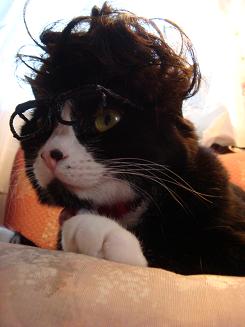 この髪型どうにょ