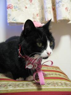 ピンクの毛皮帽子