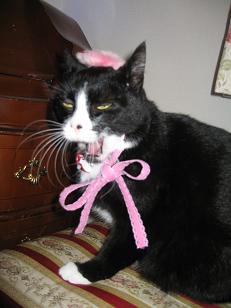 何見てるのよ～