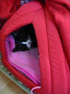 ぬくぬく・・・