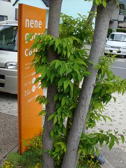 出かけたのはこちらのお店