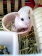 え、呼んだ?♪