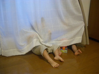 いないいない