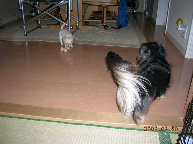 momochan-1