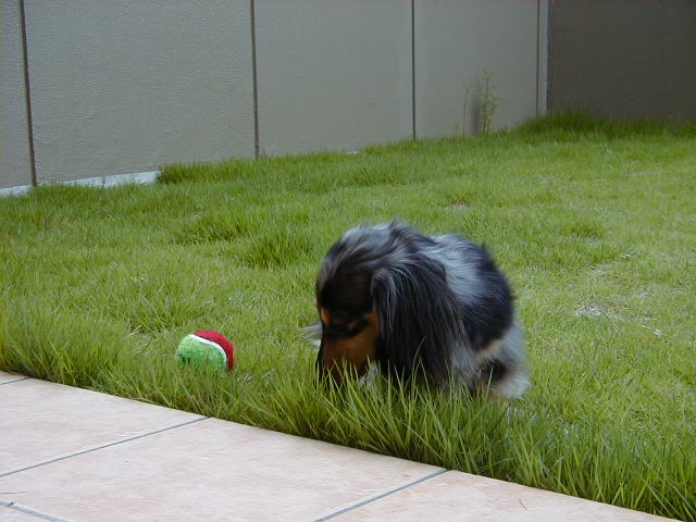 reo2006-7-15-3