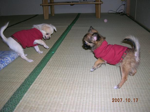 momo&an2007-10-17