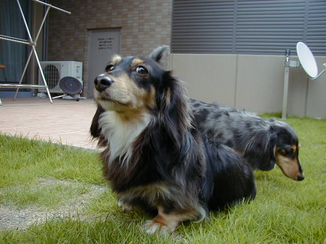 noeru2006-7-15-3