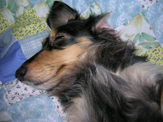 noeru2006-3-7