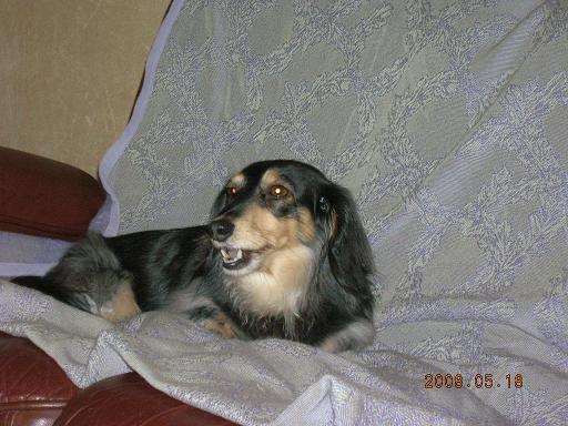 noeru2008-5-18
