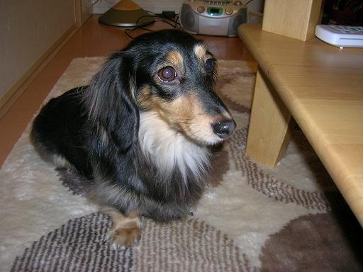 noeru2006-4-8