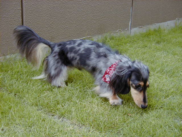 reo2006-7-23-3