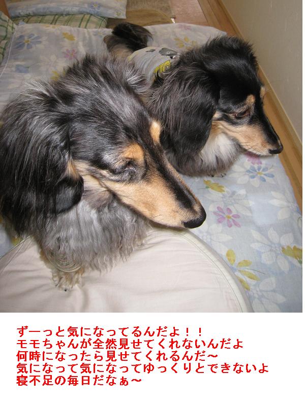 noeru&reo2009-5-30-1.JPG