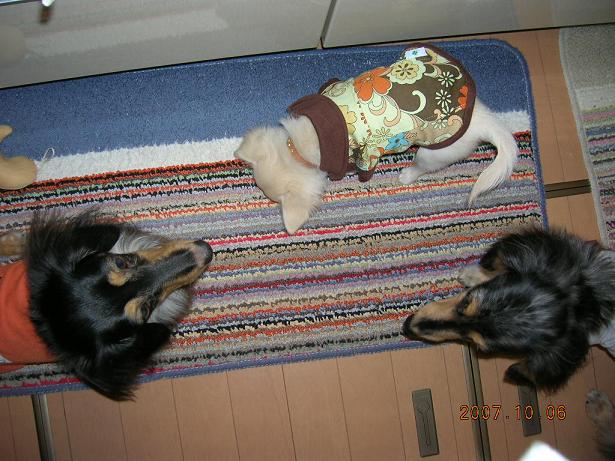 noeru&reo&momo2007-10-6