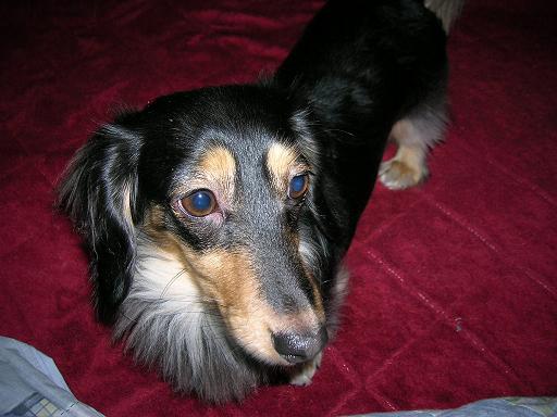 noeru2006-3-4