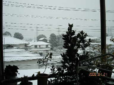 雪3