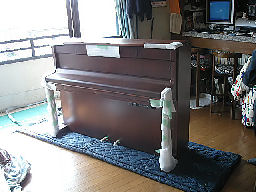 KIF_3729-1.jpg
