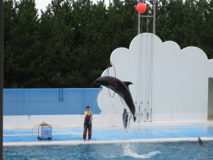 水族館1