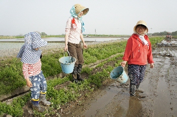 かわいい３人組