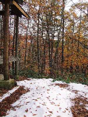 10月・初雪