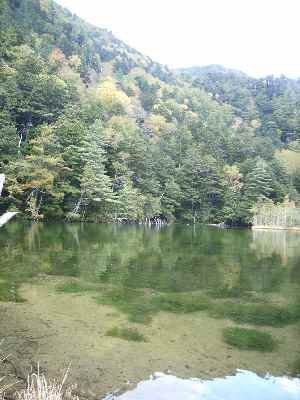 上高地・明神池