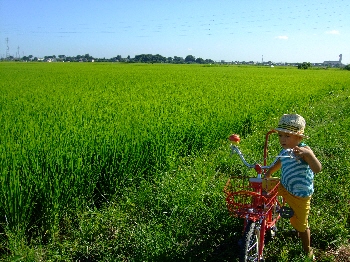 こんな風景