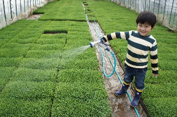 水まき