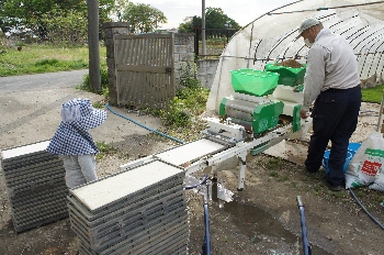 種まき