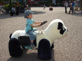 10jun-panda.jpg