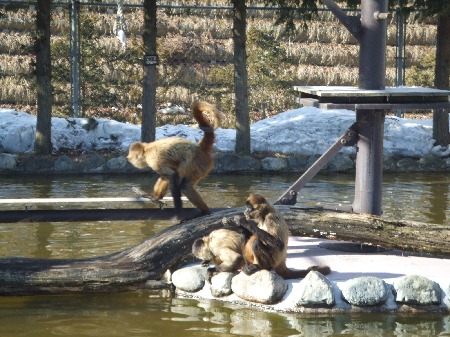 DSCF1092.JPG