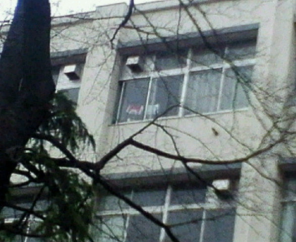 窓の向こうには