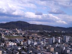 P1000016 UP.JPG