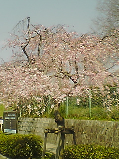 東谷山