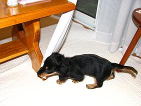 コピー ～ IMG_4708.JPG