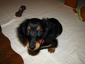 コピー ～ IMG_4678.JPG