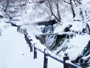 白糸の滝