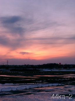 デジカメで撮影 2月縦写真 釧路のそら 楽天ブログ デジカメで撮影 2月縦写真 釧路のそら 楽天ブログ