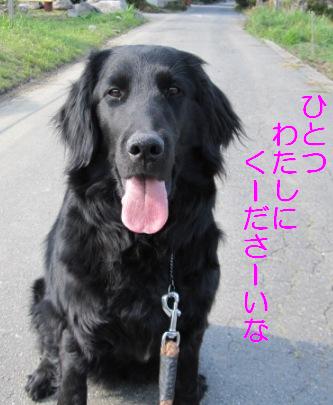 はいっ　座りました